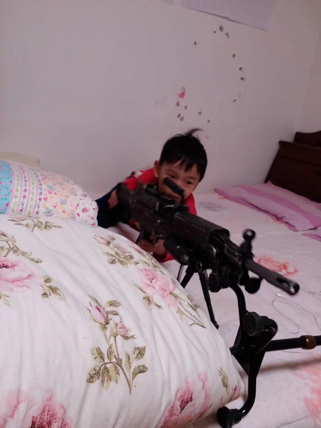 晚上不睡觉的小花狸